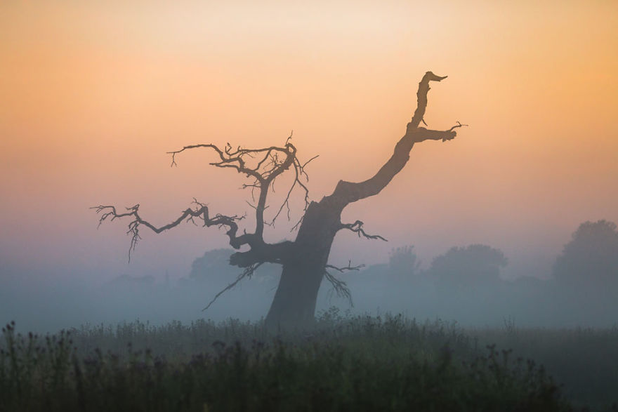 My Misty Fairy Land In Poland