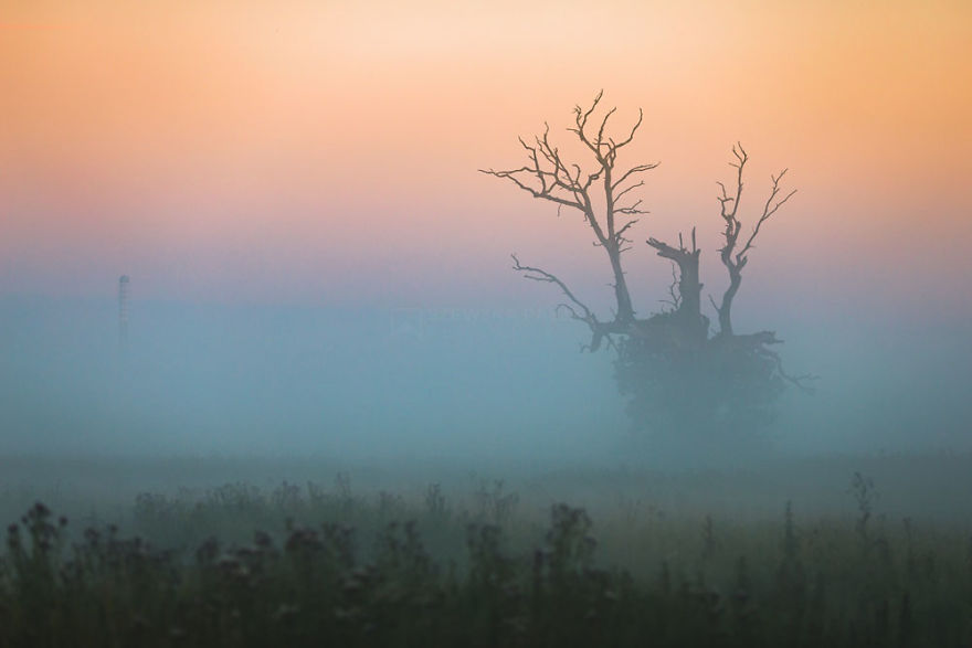 My Misty Fairy Land In Poland