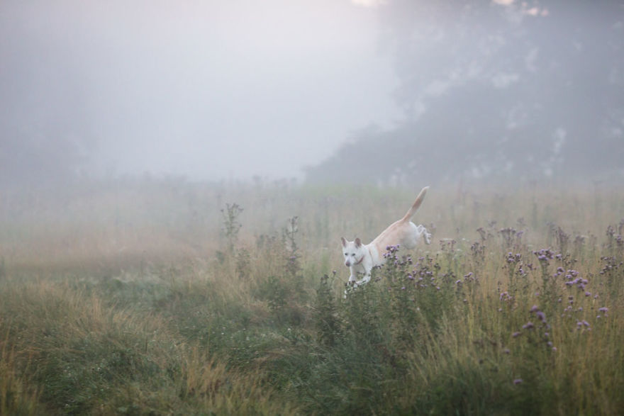 My Misty Fairy Land In Poland