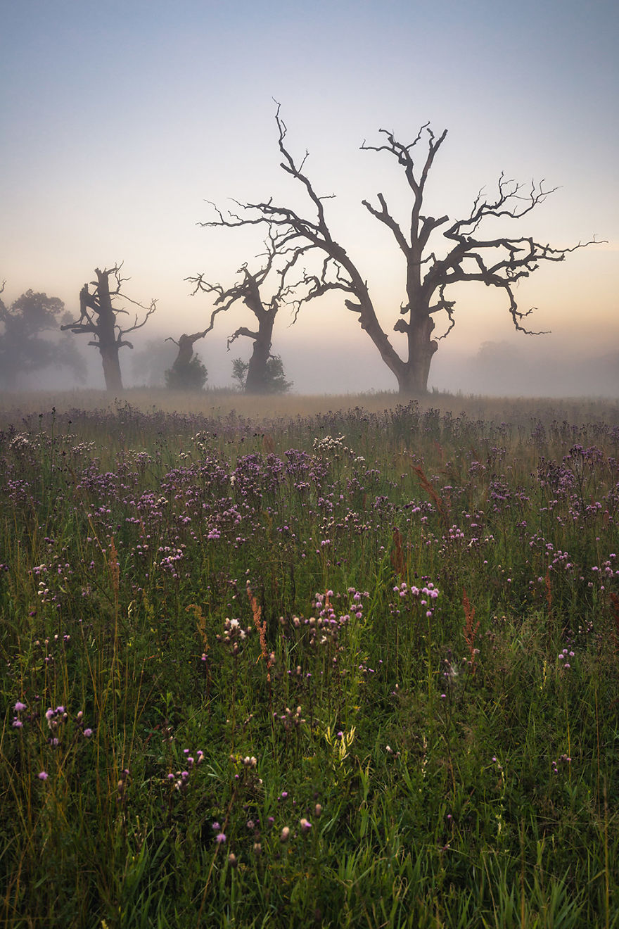 My Misty Fairy Land In Poland