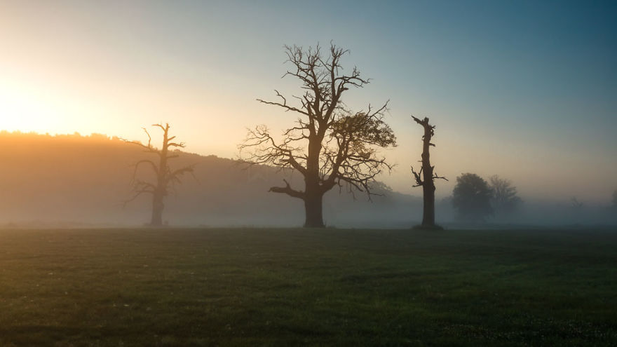 My Misty Fairy Land In Poland