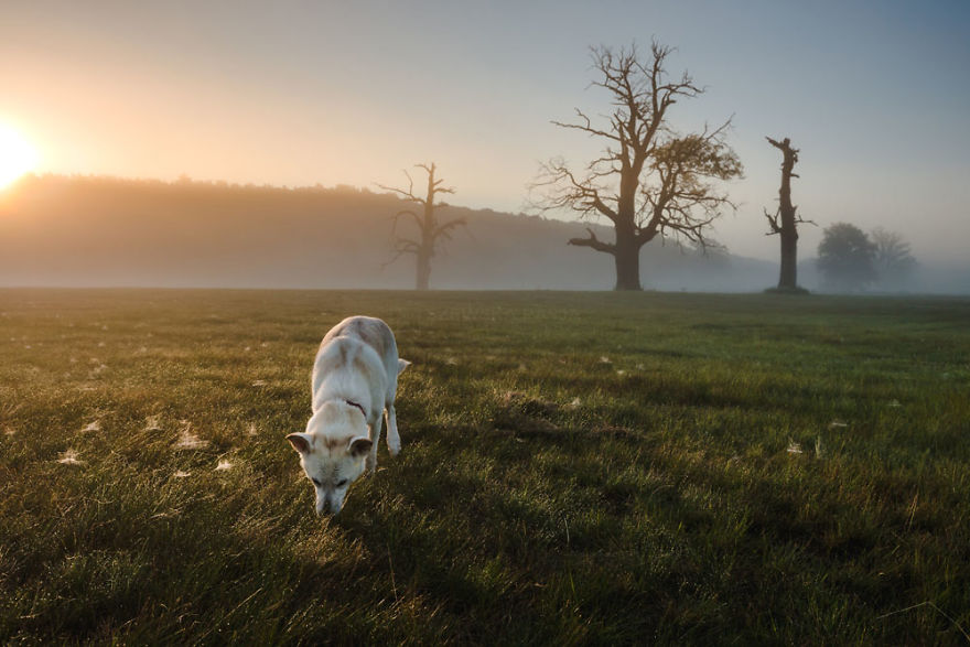 My Misty Fairy Land In Poland