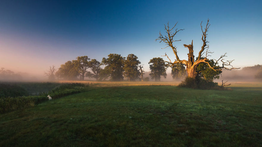 My Misty Fairy Land In Poland