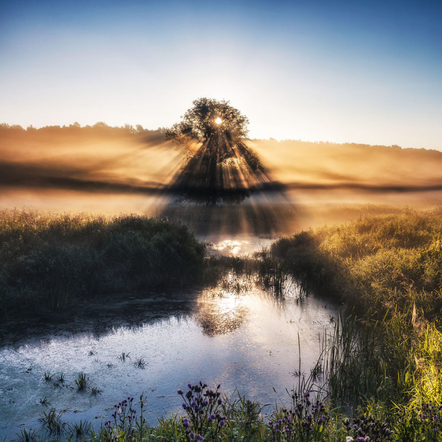 My Misty Fairy Land In Poland