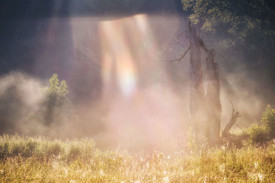My Misty Fairy Land In Poland