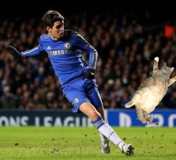 "He Shoots And Oh God He Kicked The Cat"