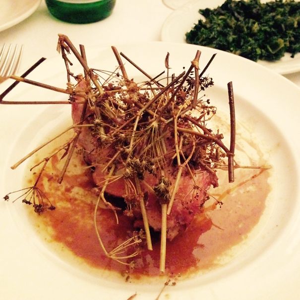 Now For Some Garnish! Grabs Rake And Heads For Backyard Prickle Patch!