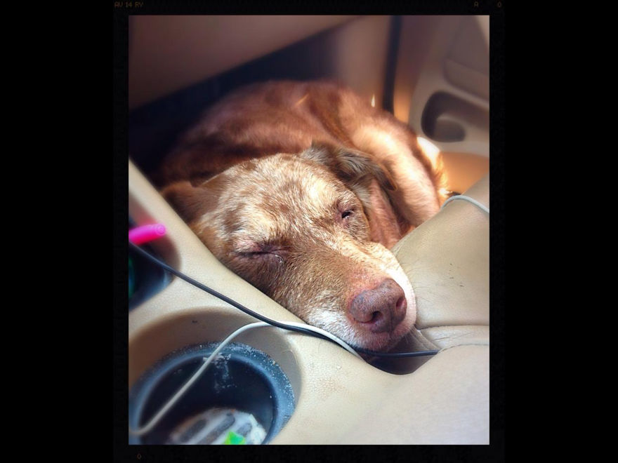 Autumn 16 Years, Los Angeles Ca.