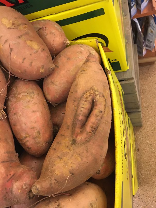 X Rated Sweet Potato 🥔