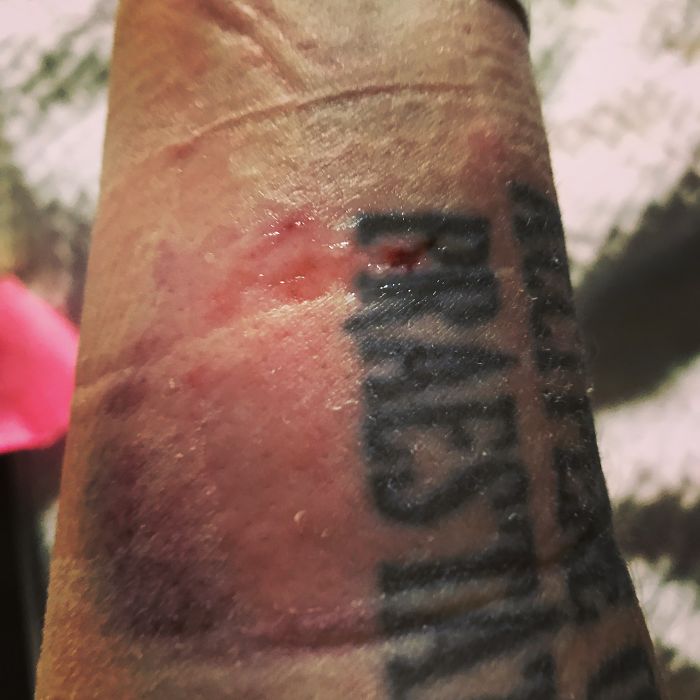 I Play Schutzhund With My Dogs #redwhiteandblue