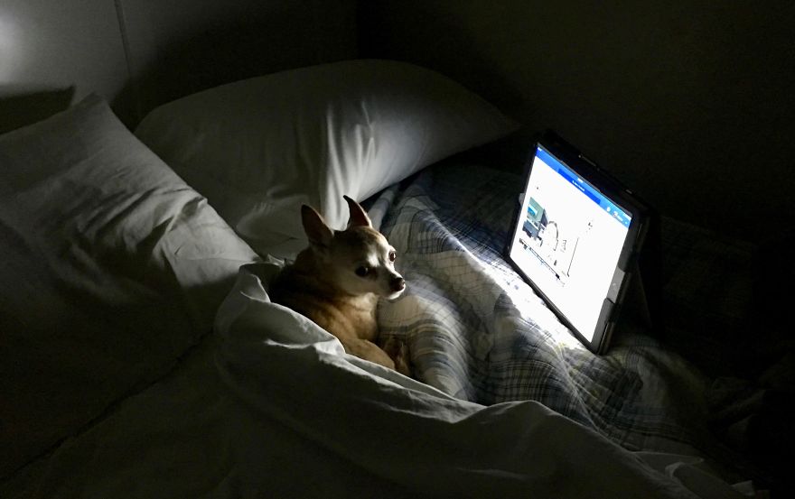 My Allie, 12 Years Old.