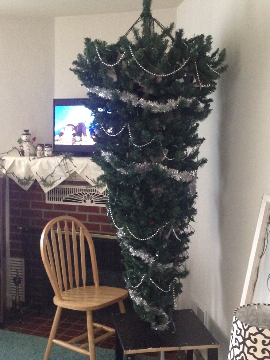 Christmas In July And Our Unconventional Tree Tradition