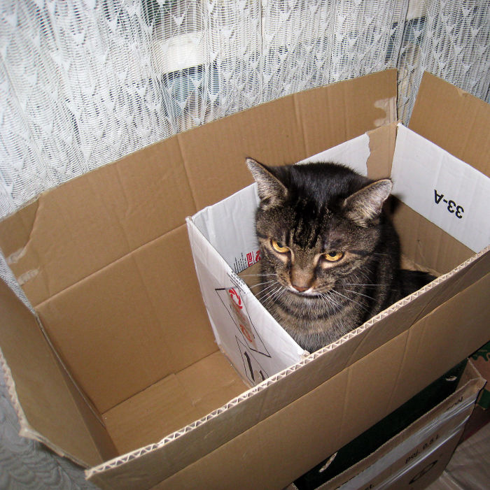 She Was A Fan Of Double Boxes