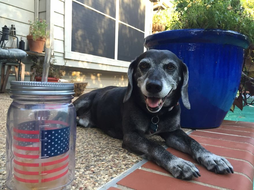 Guinness Mcgee Munn 2006-2016