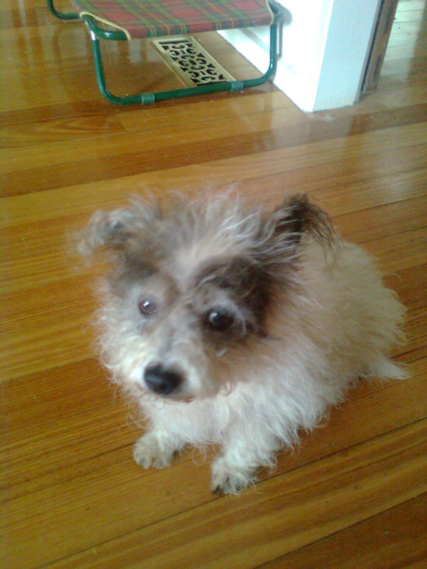 Molly......17 1/2......victoria..australia