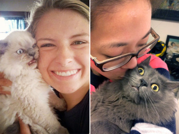 Internet Gathers Cats Who Hate Selfies And The Result Is Hilarious