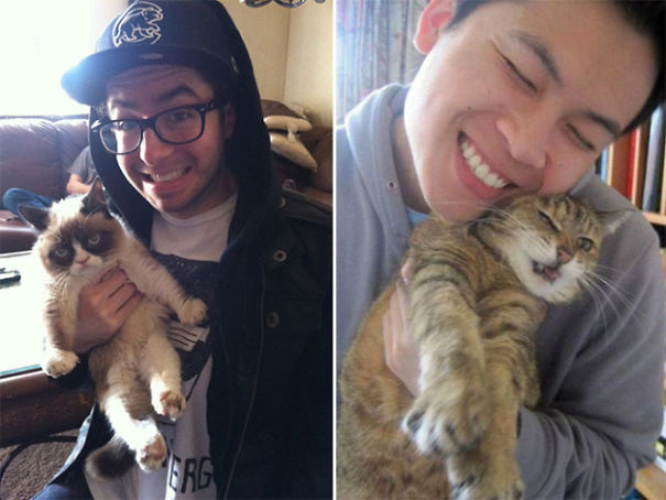 Internet Gathers Cats Who Hate Selfies And The Result Is Hilarious