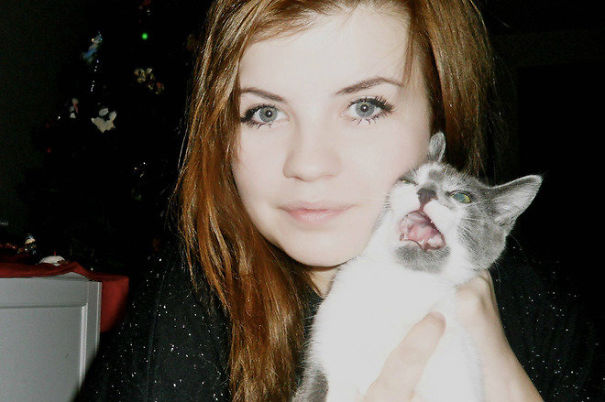 Internet Gathers Cats Who Hate Selfies And The Result Is Hilarious