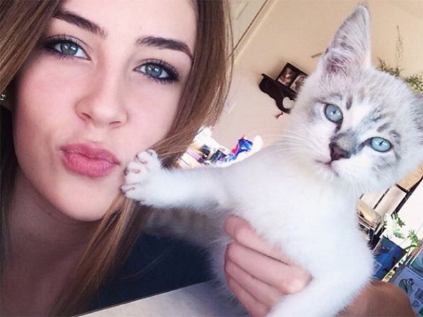 Internet Gathers Cats Who Hate Selfies And The Result Is Hilarious