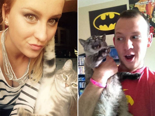 Internet Gathers Cats Who Hate Selfies And The Result Is Hilarious