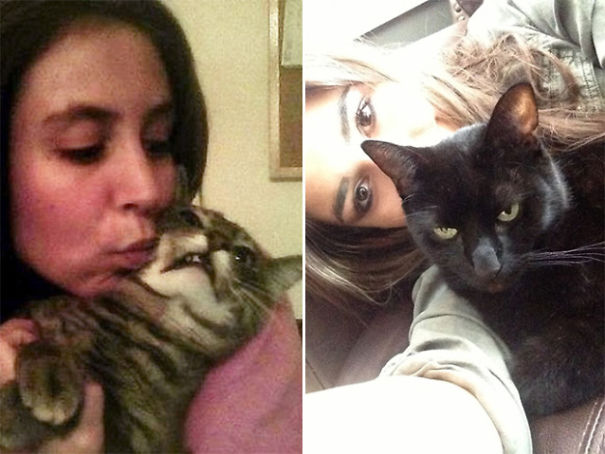 Internet Gathers Cats Who Hate Selfies And The Result Is Hilarious