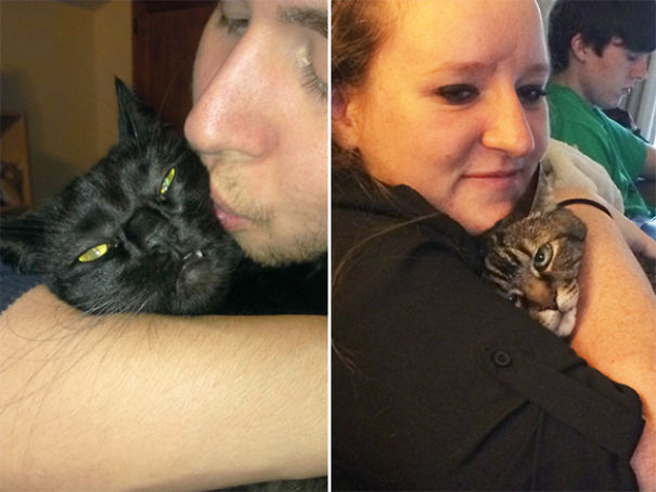 Internet Gathers Cats Who Hate Selfies And The Result Is Hilarious