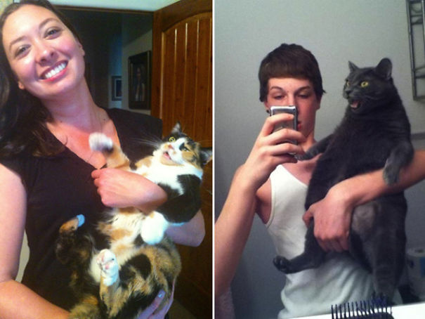 Internet Gathers Cats Who Hate Selfies And The Result Is Hilarious