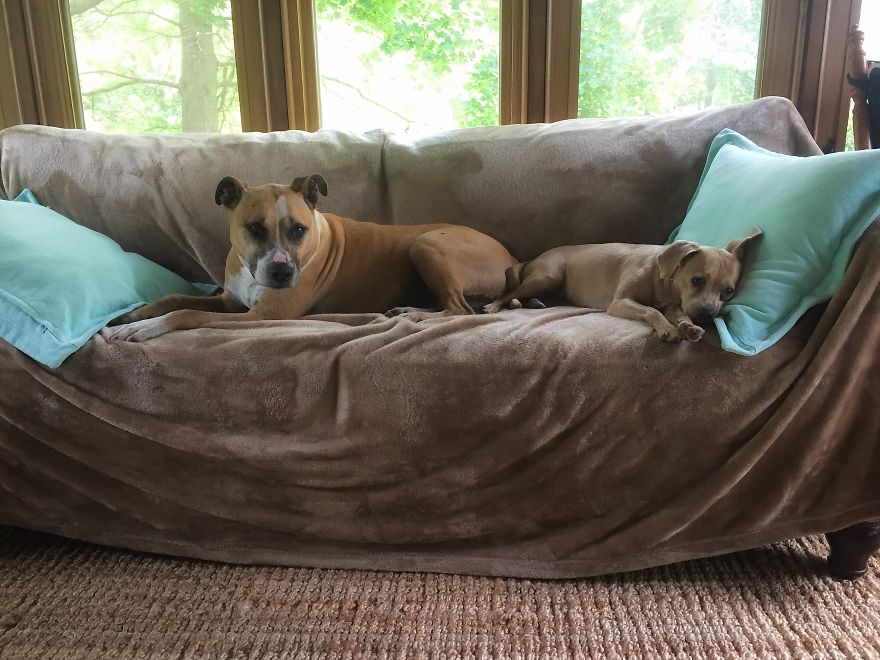 Lola's Love Story Lola's Love Story