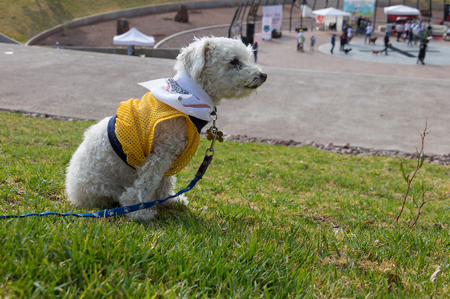 #56 Coby A 16 Years Old From Zacatecas, México