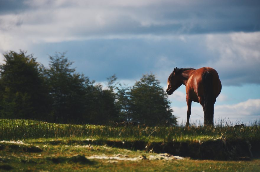 Discovering Chile: A Journey Through My Own Country