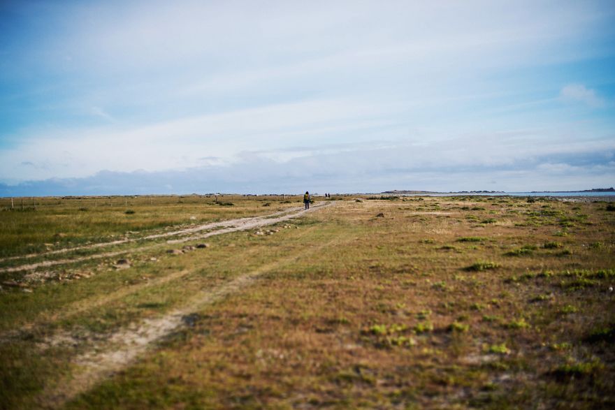 Discovering Chile: A Journey Through My Own Country