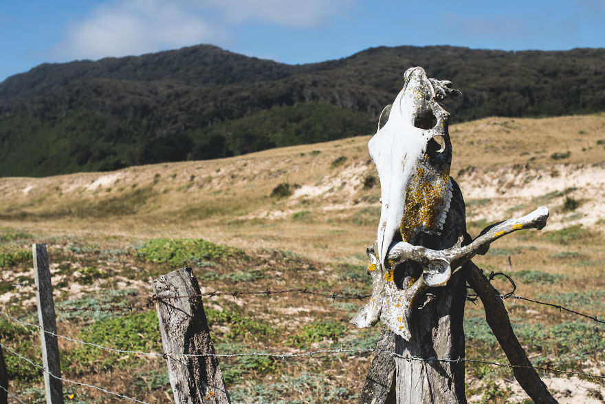 Discovering Chile: A Journey Through My Own Country