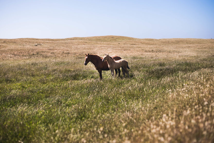Discovering Chile: A Journey Through My Own Country Discovering Chile: A Journey Through My Own Country