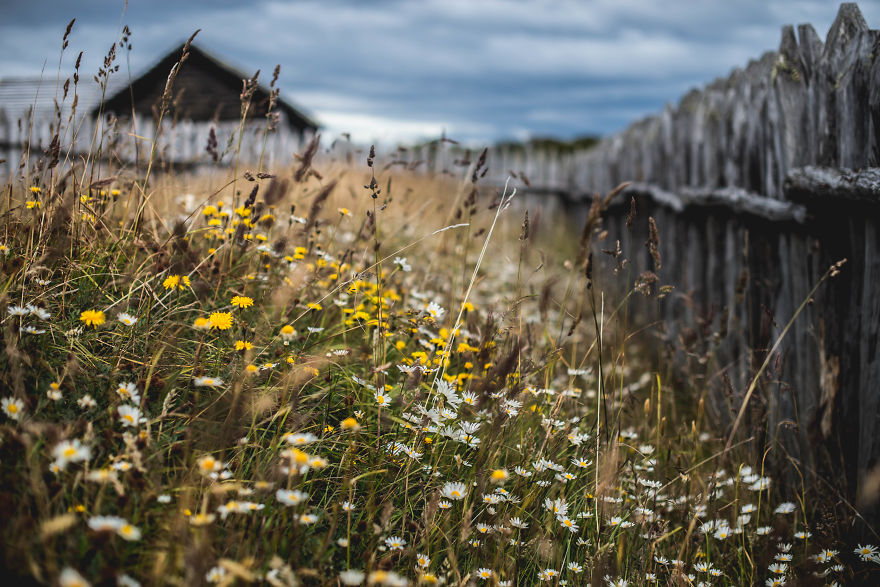 Discovering Chile: A Journey Through My Own Country