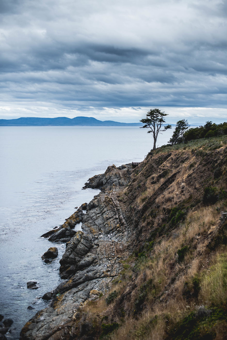 Discovering Chile: A Journey Through My Own Country Discovering Chile: A Journey Through My Own Country
