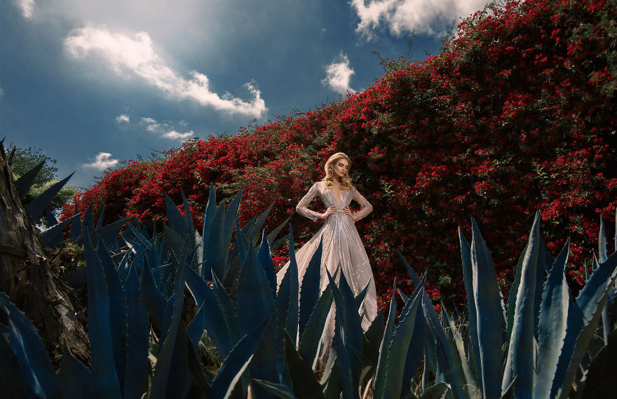 Desperate Hollywood Wife