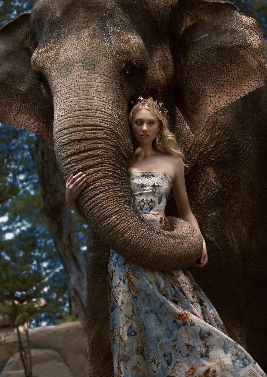 Autumn For The Elephants