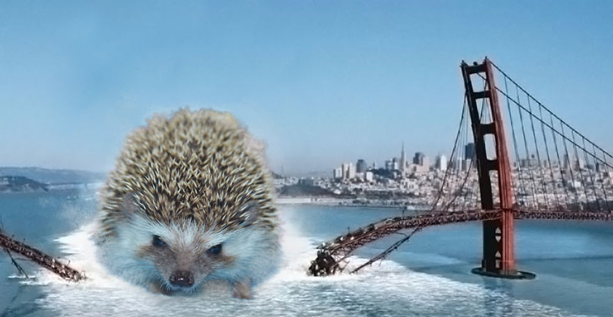 My Pet Hedgehog Has A Secret Life: Hedgezilla!