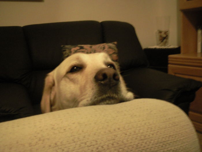 Shorty Making A Squishy Himself