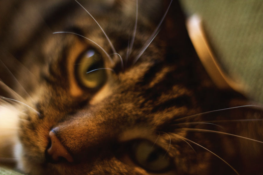 I'm A 12-Year Old Photographer Who Loves To Mess With Light And Perspective