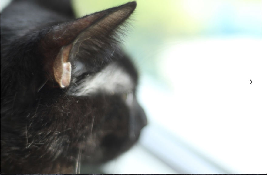 I'm A 12-Year Old Photographer Who Loves To Mess With Light And Perspective I'm A 12-Year Old Photographer Who Loves To Mess With Light And Perspective