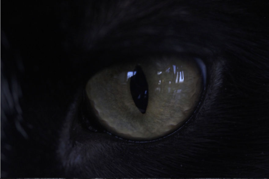 I'm A 12-Year Old Photographer Who Loves To Mess With Light And Perspective I'm A 12-Year Old Photographer Who Loves To Mess With Light And Perspective