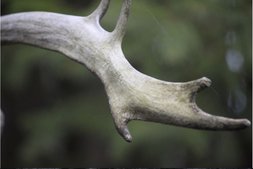 I'm A 12-Year Old Photographer Who Loves To Mess With Light And Perspective I'm A 12-Year Old Photographer Who Loves To Mess With Light And Perspective