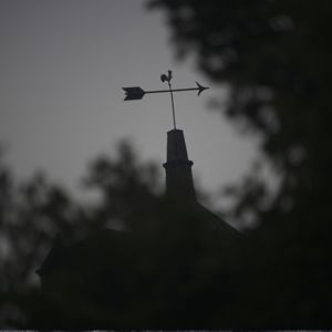 djangostewart avatar