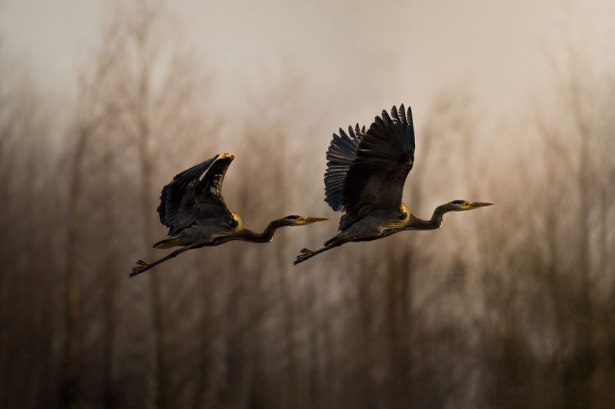 By Linus Strandholm - The Great Outdoors