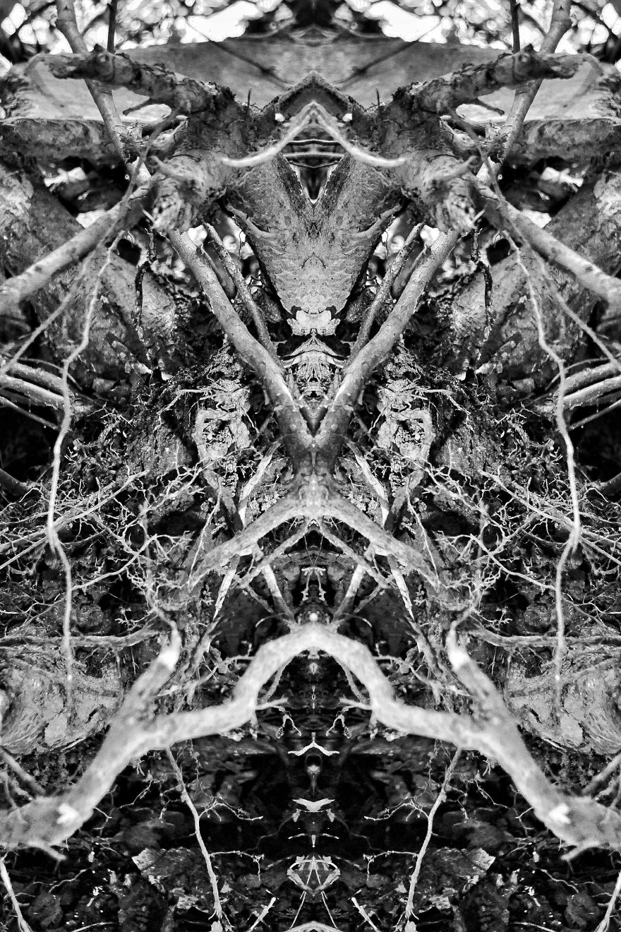 I Captured Images Of Ghosts And Other Spiritual Entities At Shades Of Death Road, New Jersey