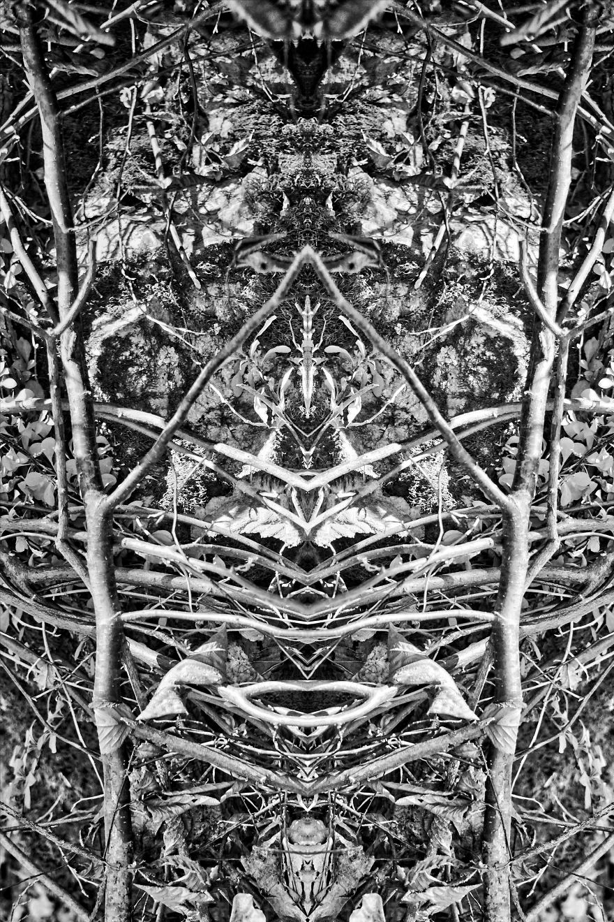 I Captured Images Of Ghosts And Other Spiritual Entities At Shades Of Death Road, New Jersey