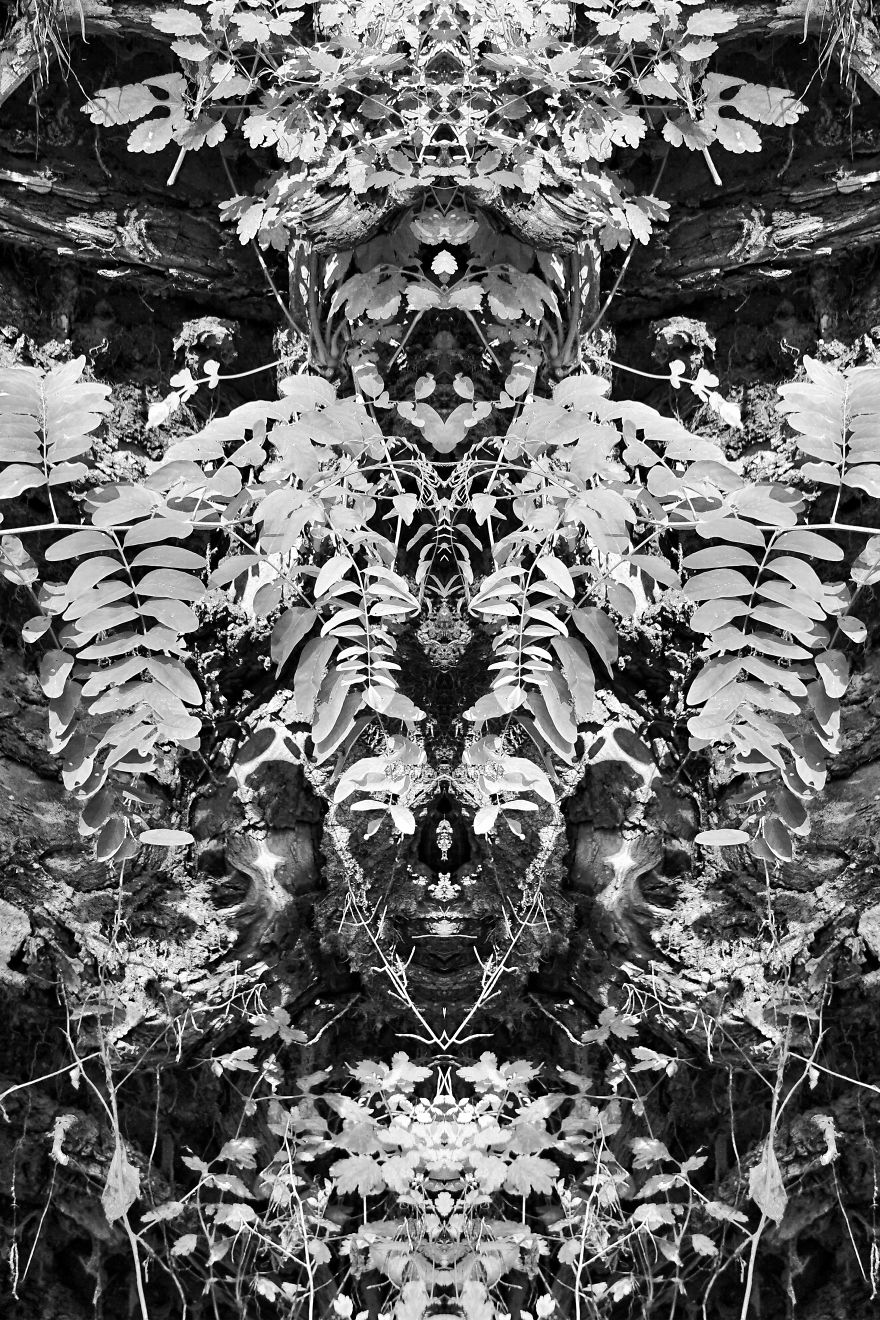 I Captured Images Of Ghosts And Other Spiritual Entities At Shades Of Death Road, New Jersey