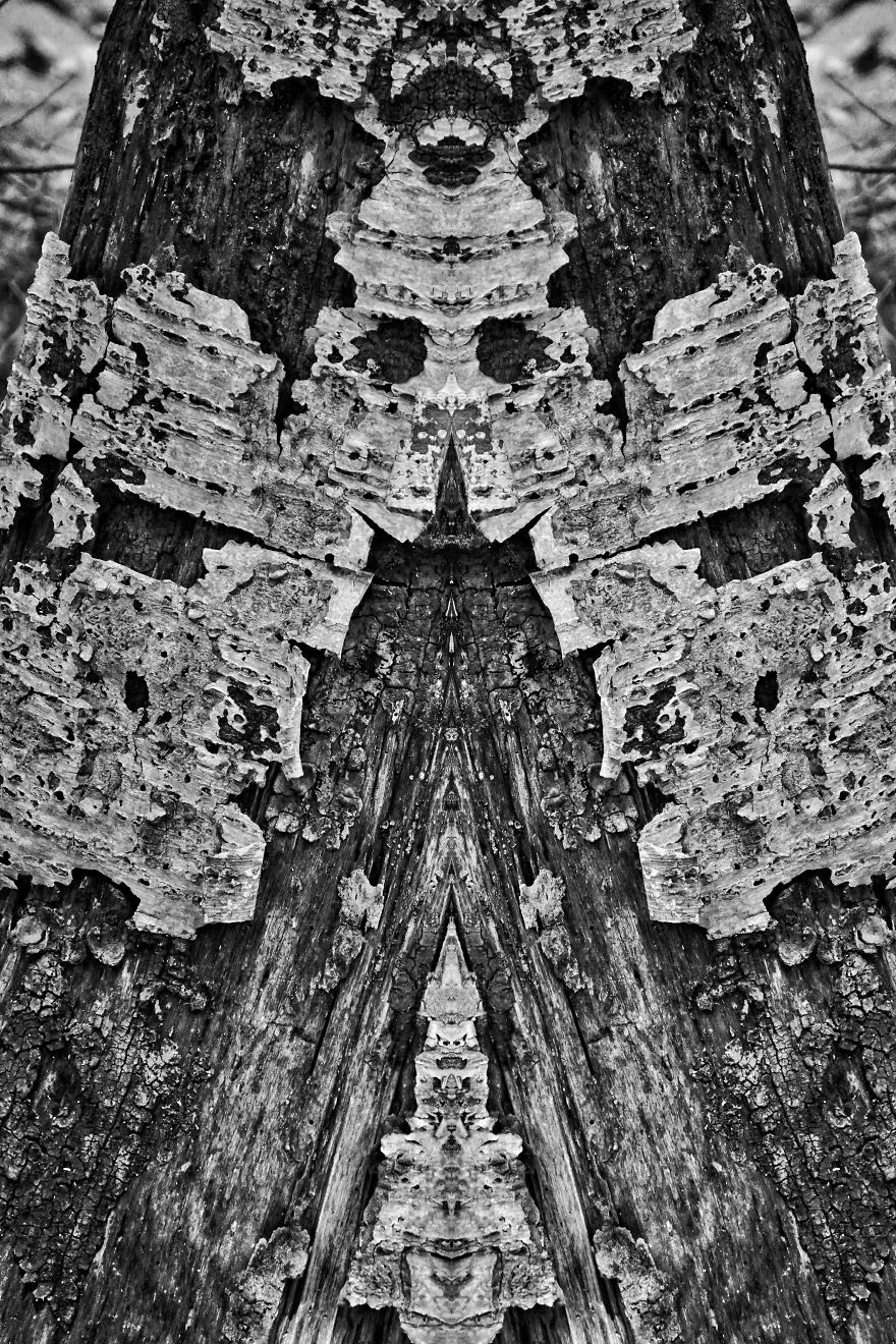 I Captured Images Of Ghosts And Other Spiritual Entities At Shades Of Death Road, New Jersey