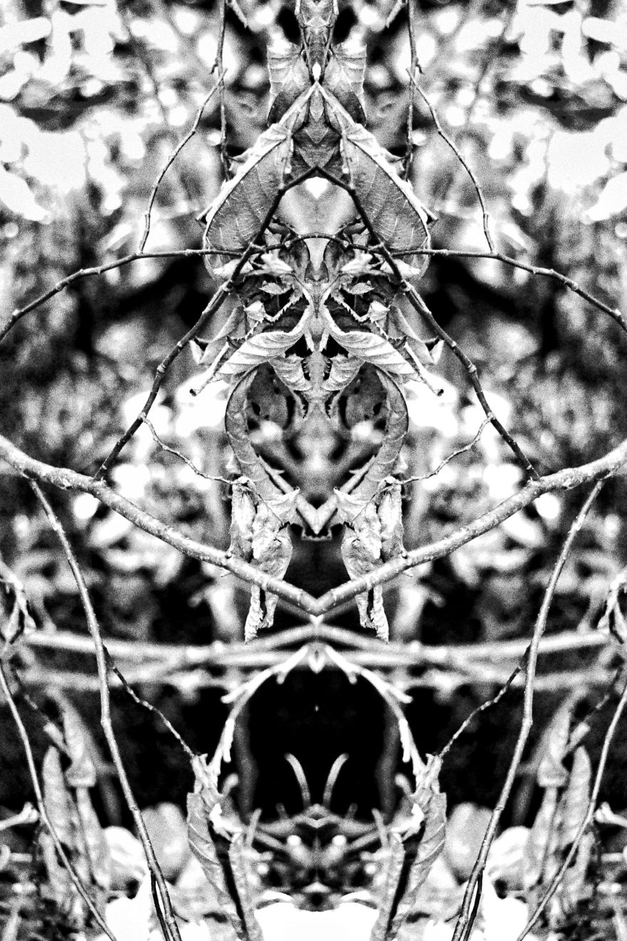 I Captured Images Of Ghosts And Other Spiritual Entities At Shades Of Death Road, New Jersey